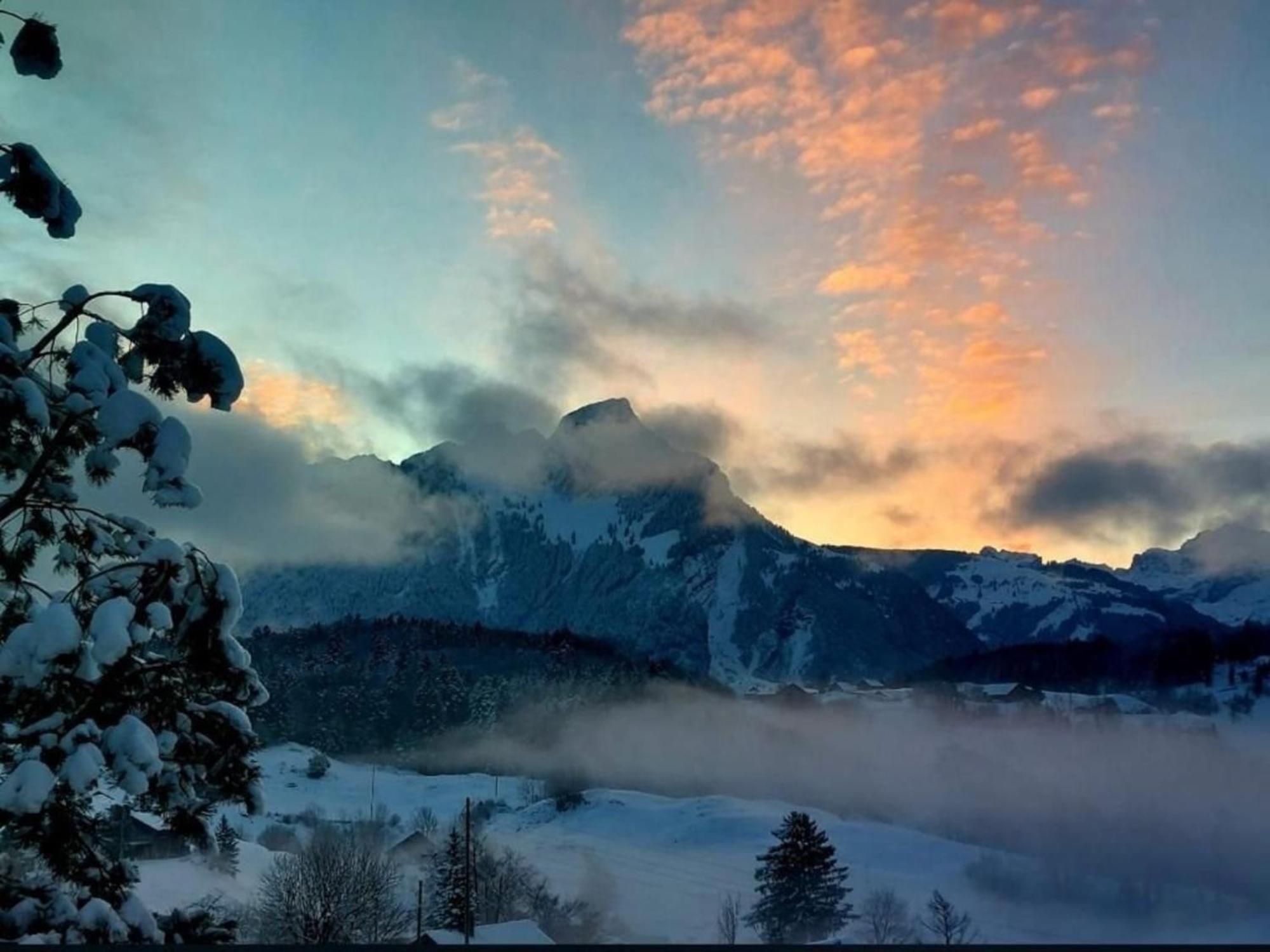 Lakehill72 Seelisberg Bagian luar foto