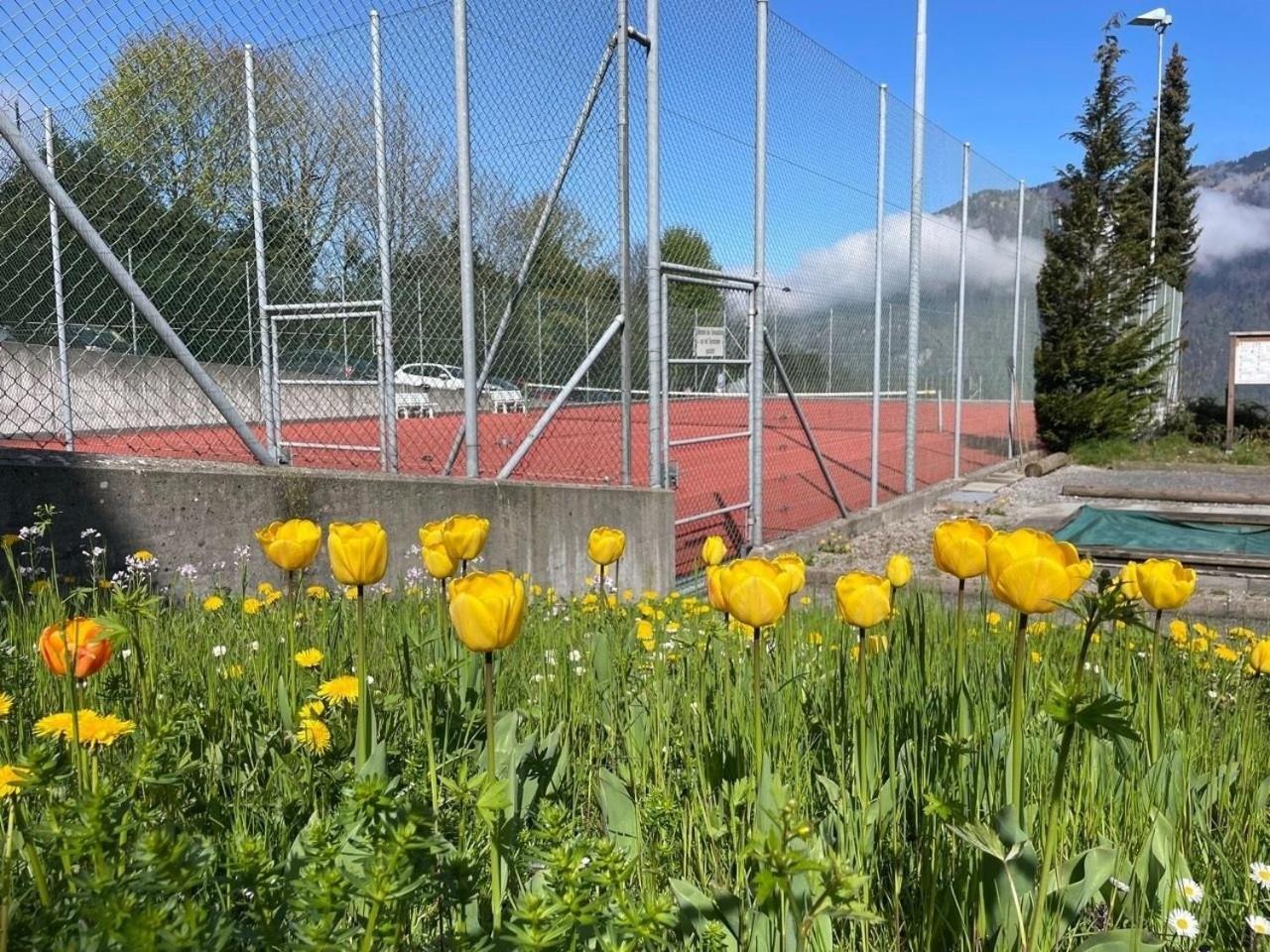 Lakehill72 Seelisberg Bagian luar foto