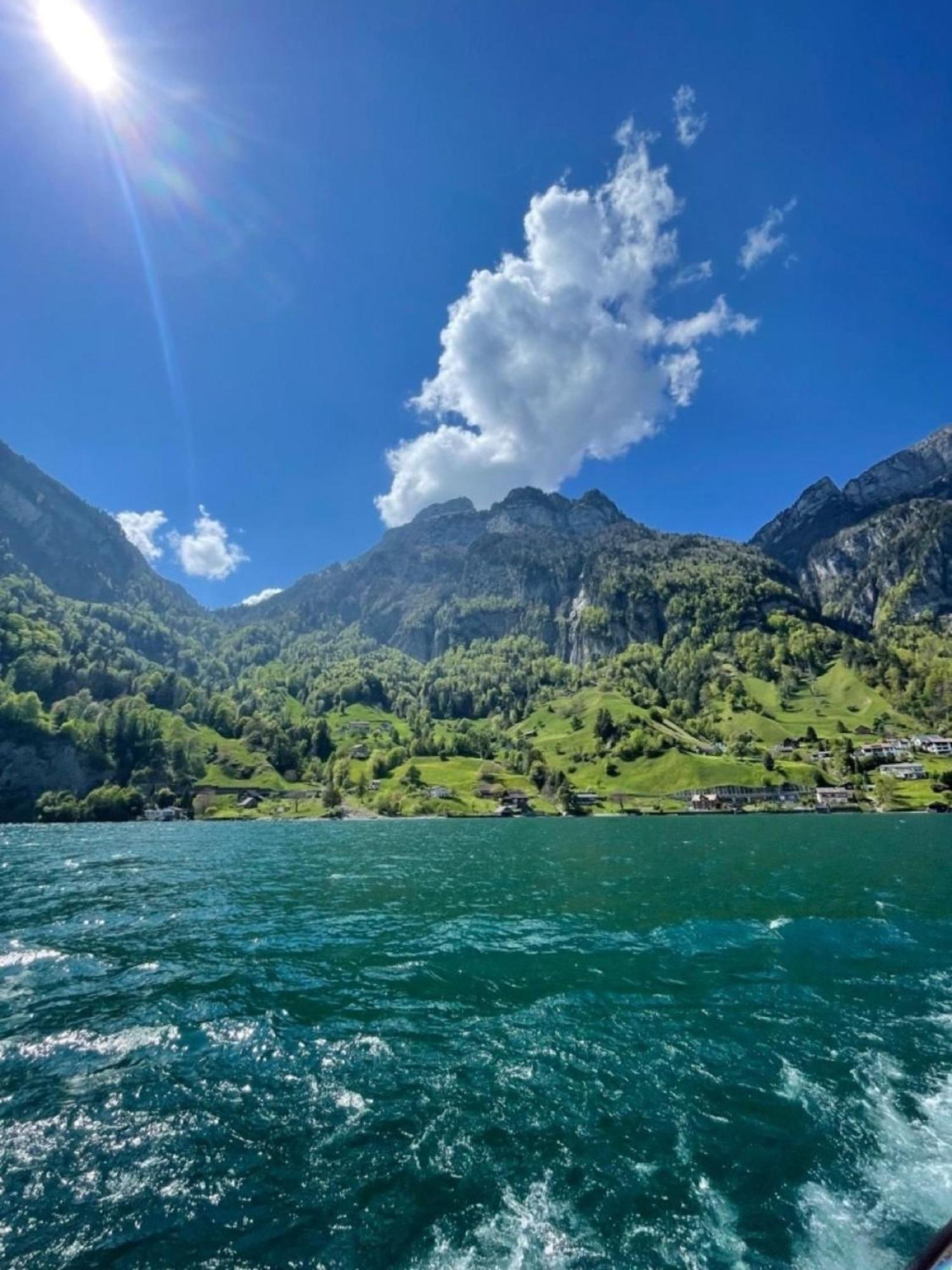 Lakehill72 Seelisberg Bagian luar foto