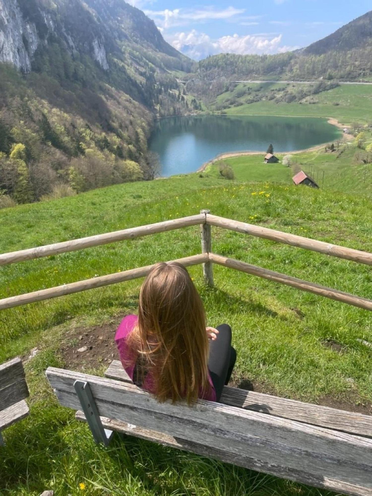 Lakehill72 Seelisberg Bagian luar foto