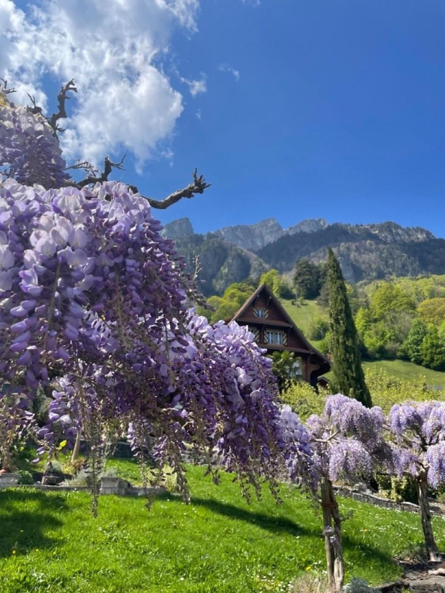 Lakehill72 Seelisberg Bagian luar foto